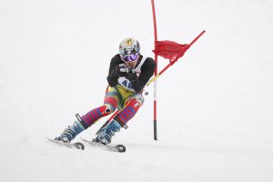 1200px-Giant_Slalom_Racer